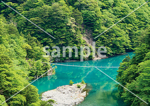 [5月] 新緑の寸又峡（すまたきょう）