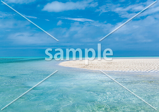 [7月] 与論島の百合ヶ浜