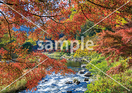 [11月] 香嵐渓（こうらんけい）の紅葉