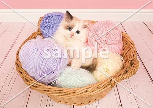 [2月] 毛糸玉のバスケット