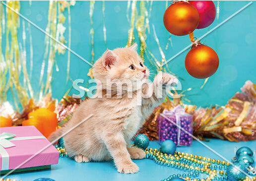 [12月] クリスマスプレゼント