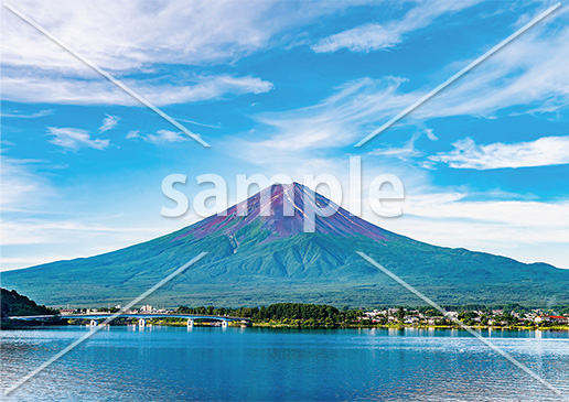 [7月] 夏の河口湖