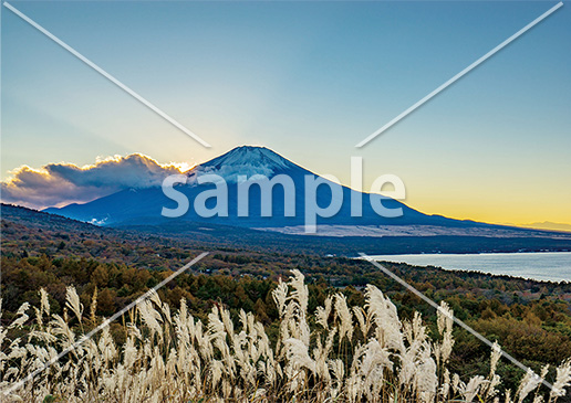 [11月] ススキと富士山