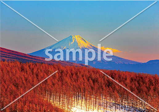 [12月] 霧ヶ峰高原の夕景