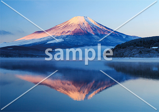 富士の四季 十二選