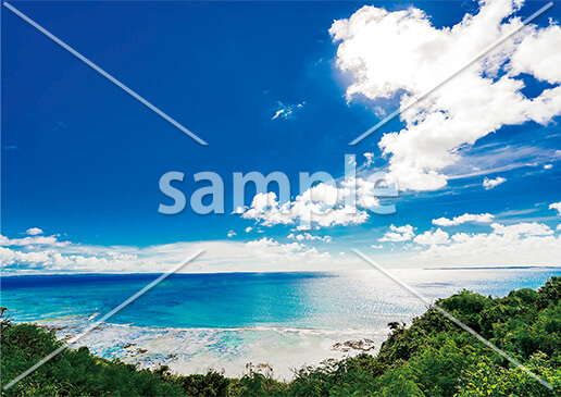 [7月] コバルトブルーの沖縄の海