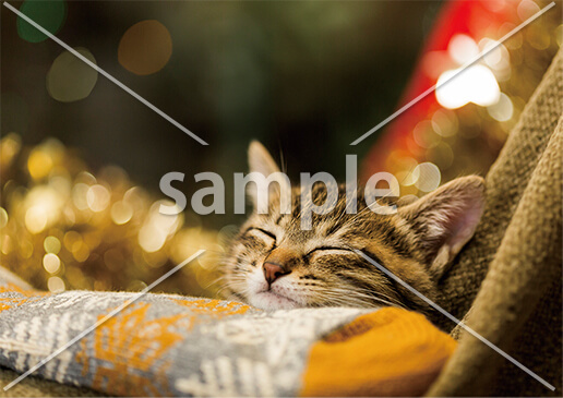 [12月] クリスマスの過ごし方