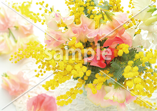 [3月] ミモザ
