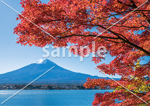 [11月] 富士山と紅葉