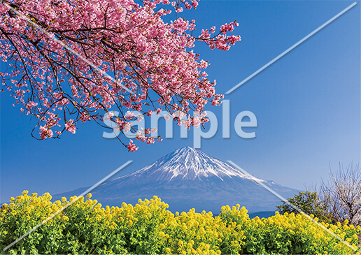 [3月] 早春の富士山