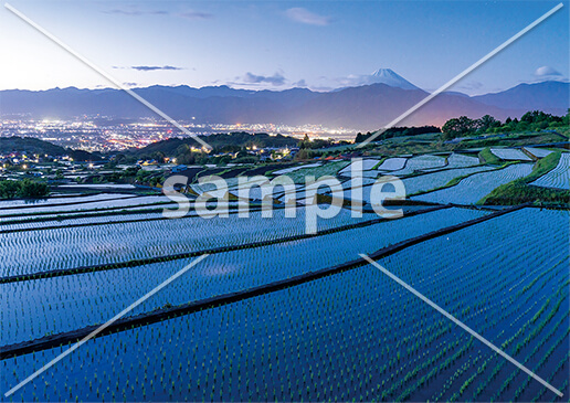 [5月] 棚田と富士山