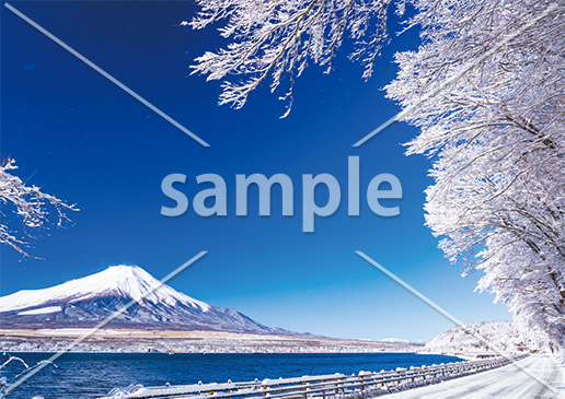 [2月] 冬化粧の山中湖岸