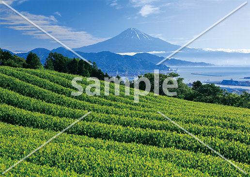[5月] 日本平からの風景