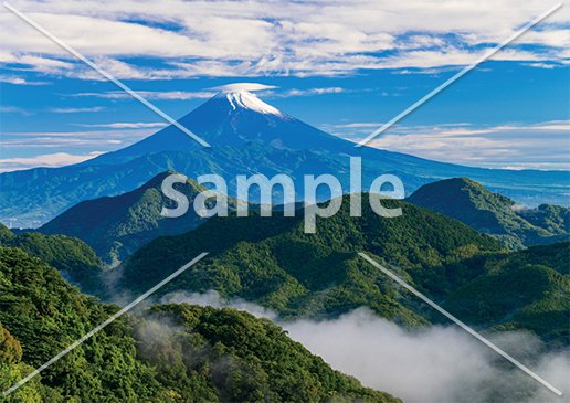 [6月] 伊豆葛城山から望む