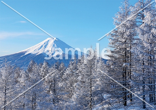 [1月] 山梨県　冬の富士山