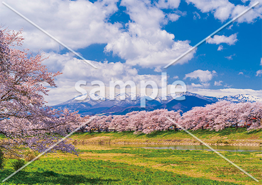 [4月] 宮城県　一目千本桜と蔵王連峰