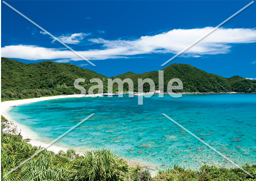 [8月] 沖縄県　阿波連ビーチ