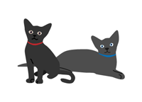 ジュン宝飾店 ネコ：サーヤ(２)・ケイ(４)