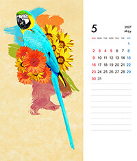 CDサイズ卓上プラスチックケース入りカレンダー(Aタイプ)