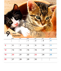 CDサイズ卓上プラスチックケース入りカレンダー(Bタイプ)