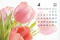 ハガキサイズ卓上プラスチックケース入りカレンダー(Bタイプ)