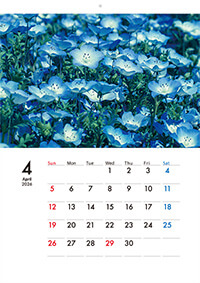 壁掛けタイプのECO壁掛けカレンダー印刷（タンザック）13ページ仕上がり