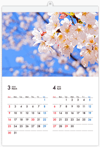 プラホルダー付き壁掛けカレンダー（7ページ）