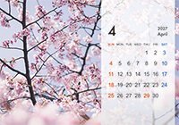 B6サイズ卓上プラスチックケース入りカレンダー（Bタイプ）