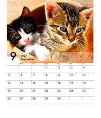 CDサイズ卓上プラスチックケース入りカレンダー（Bタイプ）