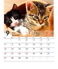 CDサイズ卓上プラスチックケース入りカレンダー（Bタイプ）