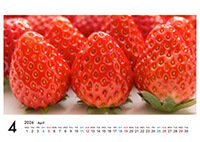 卓上ECOリング綴じカレンダー（13枚セット）写真面