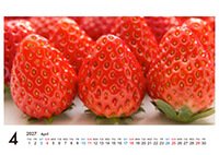 卓上ECOリング綴じカレンダー（13枚セット）写真面