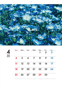 壁掛けタイプのECO壁掛けカレンダー印刷（タンザック）13ページ仕上がり