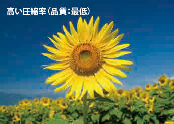 圧縮率を高くすると画像が大幅に劣化します