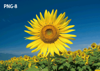 PNG-8