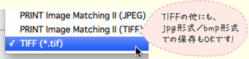 TIFF形式で保存してください