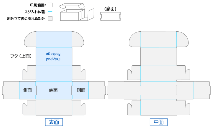 N式の展開図