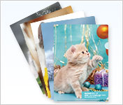 デザインクリアファイル5種セット