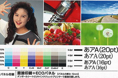 変更後前のECOパネル+直接印刷
刷