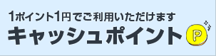 1ポイント1円でご利用いただけます キャッシュポイント