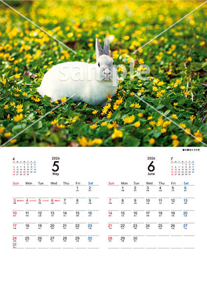 Animal calendar 5月／6月