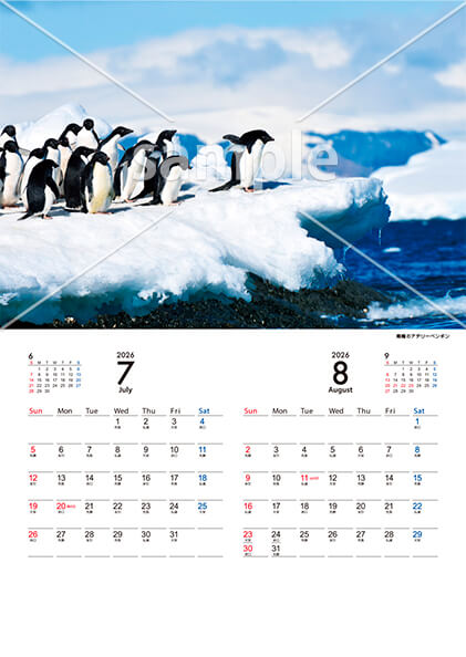 Animal calendar 7月／8月