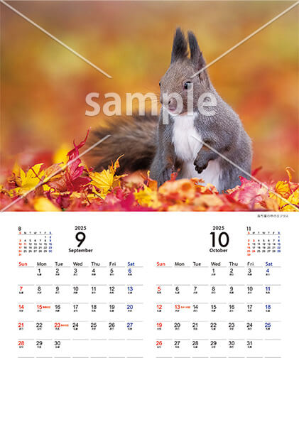 Animal calendar 9月／10月