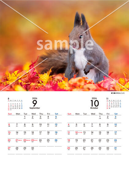 Animal calendar 9月／10月