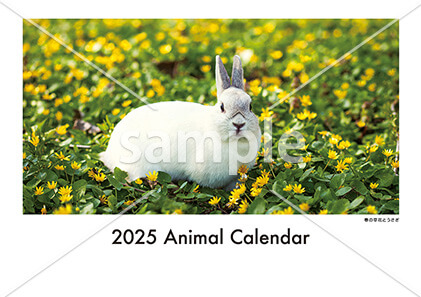 Animal calendar 表紙