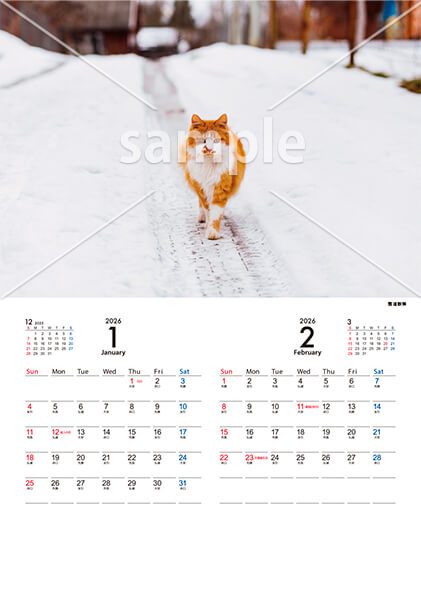 猫 1月／2月