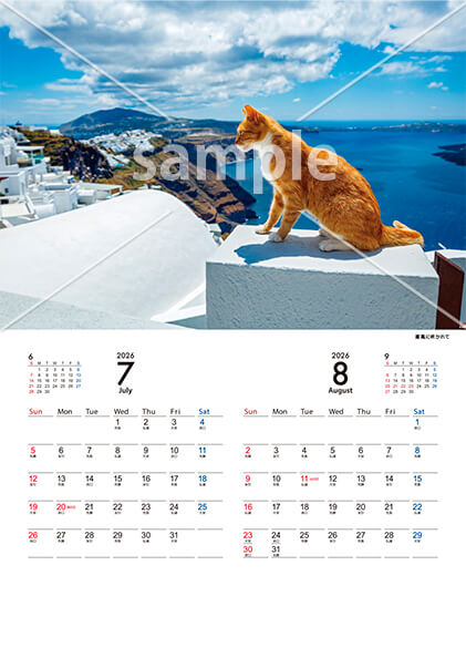 猫 7月／8月