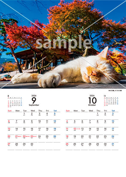 猫 9月／10月