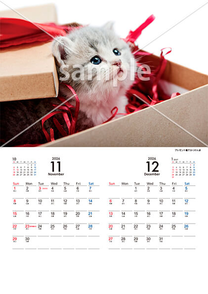 猫 11月／12月