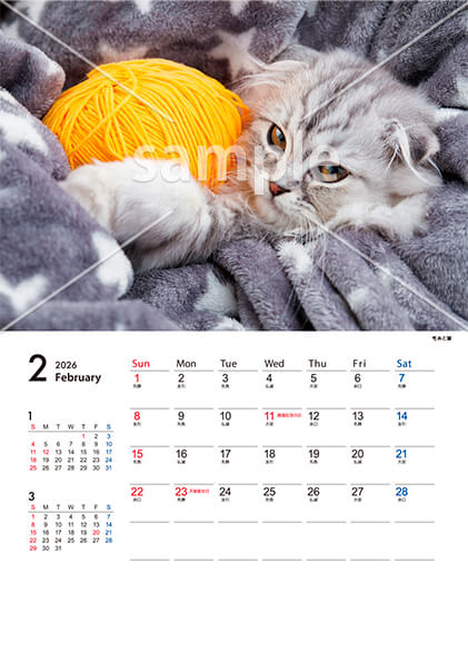 猫 2月